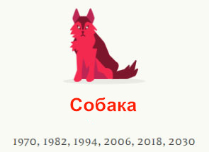 Год собаки
