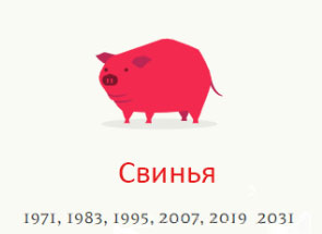 Год свиньи