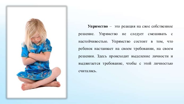 Что такое упрямство