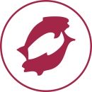 Знак зодиака Рыбы